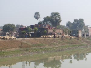 As we sat in the pavilion we saw men herding sheep on the other side of the manmade lake.