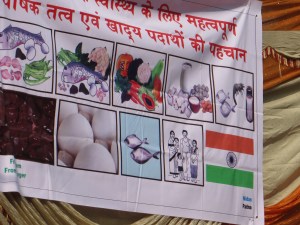 FFH lessons are used by Nidan to teach nutrition--again, employing the symbolism of the 3 colors of the Indian flag.