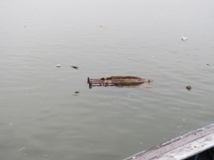Remains of a Saraswathi statue, a bit forlorn floating alone.