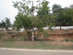 Laundry by the side of the road.